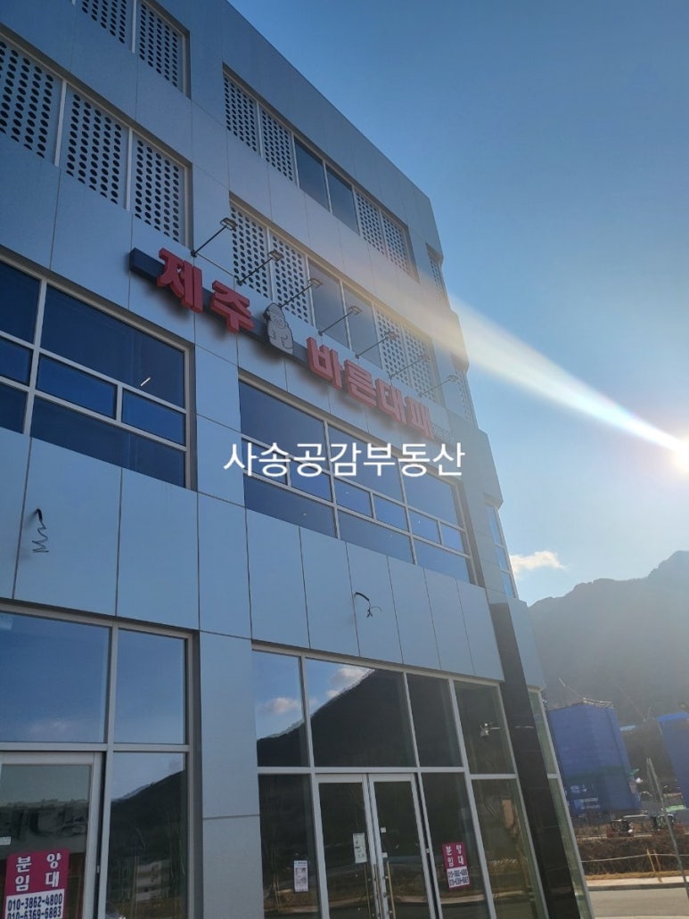 제주바른대패 이미지