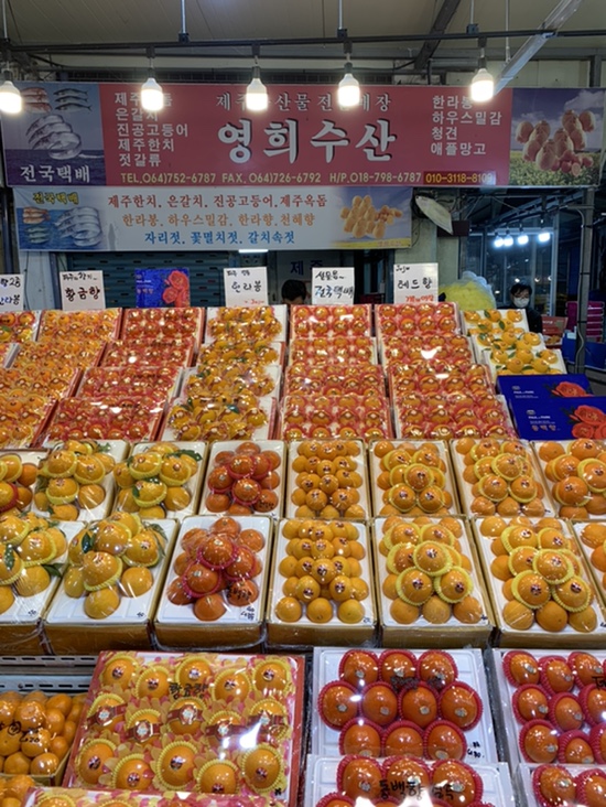 영희수산 이미지