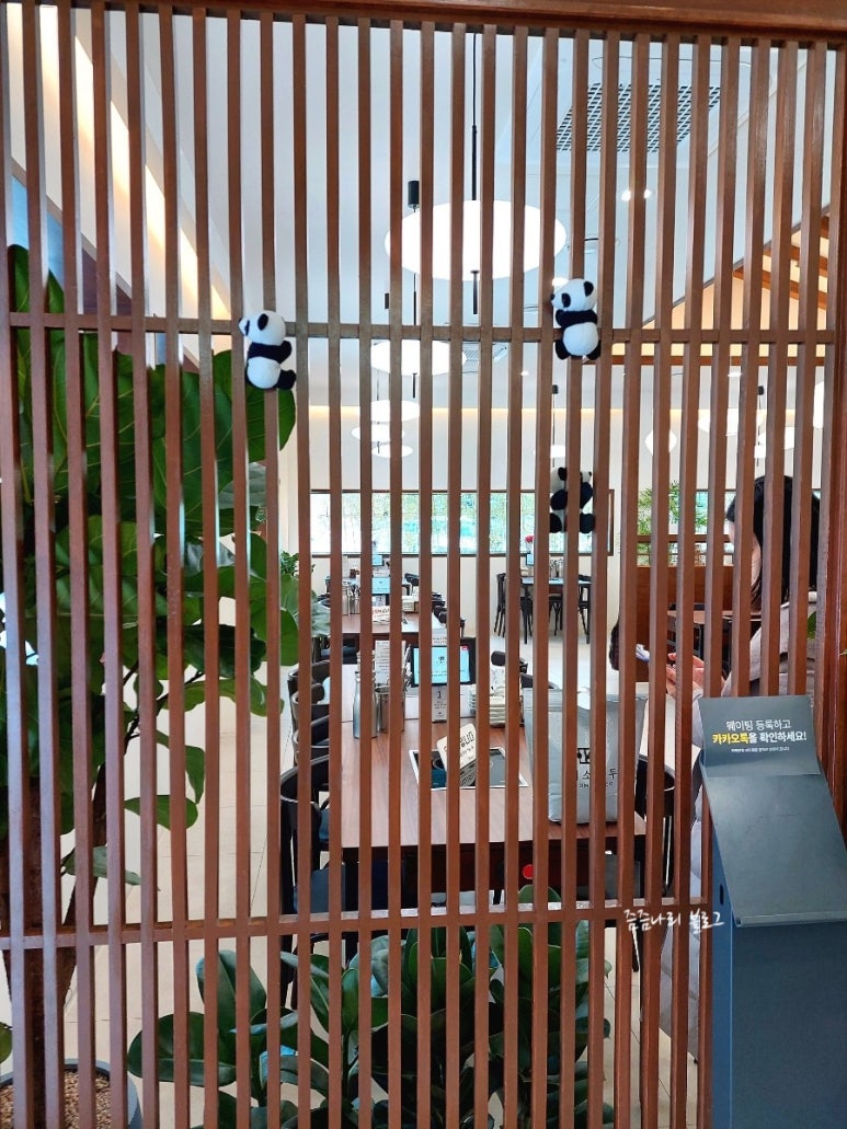판다이소 이미지