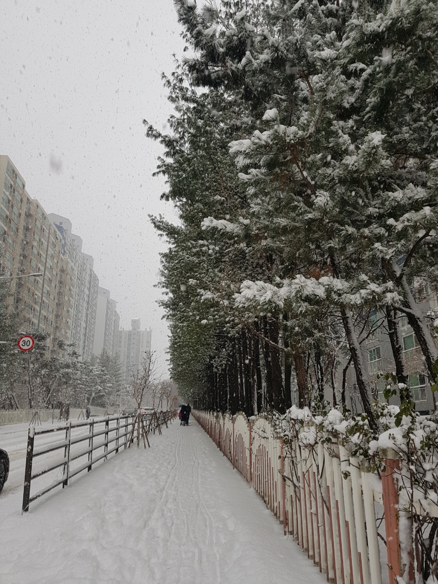 배스킨라빈스천안백석점 이미지