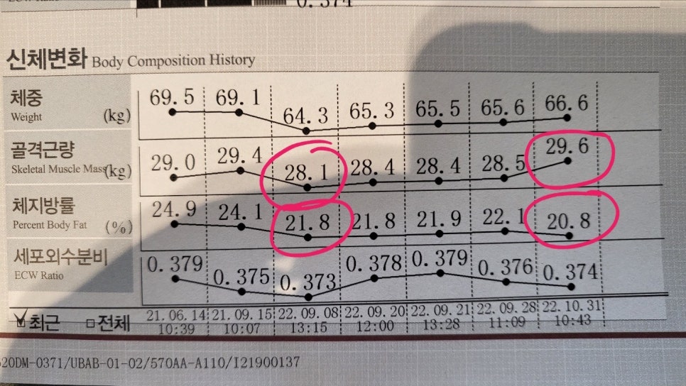 팀혁짐 이미지
