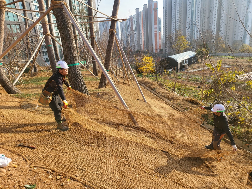 대성조경 이미지