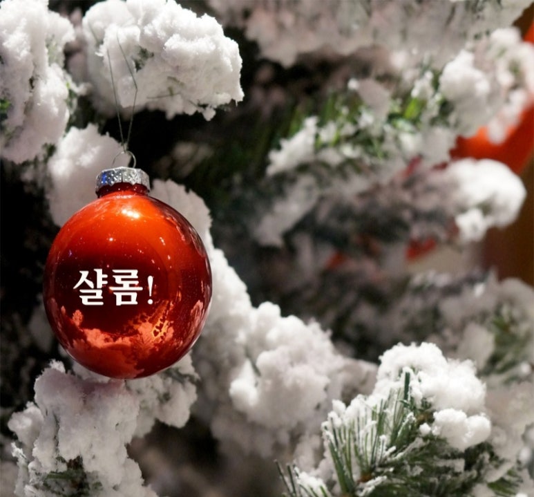 온누리영광 이미지
