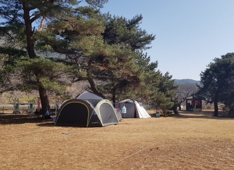 마법의정원 이미지