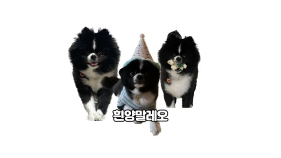 포천포레스트벨리 이미지
