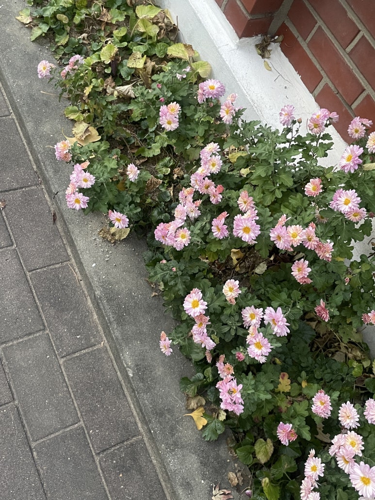 CGV평촌5관 이미지
