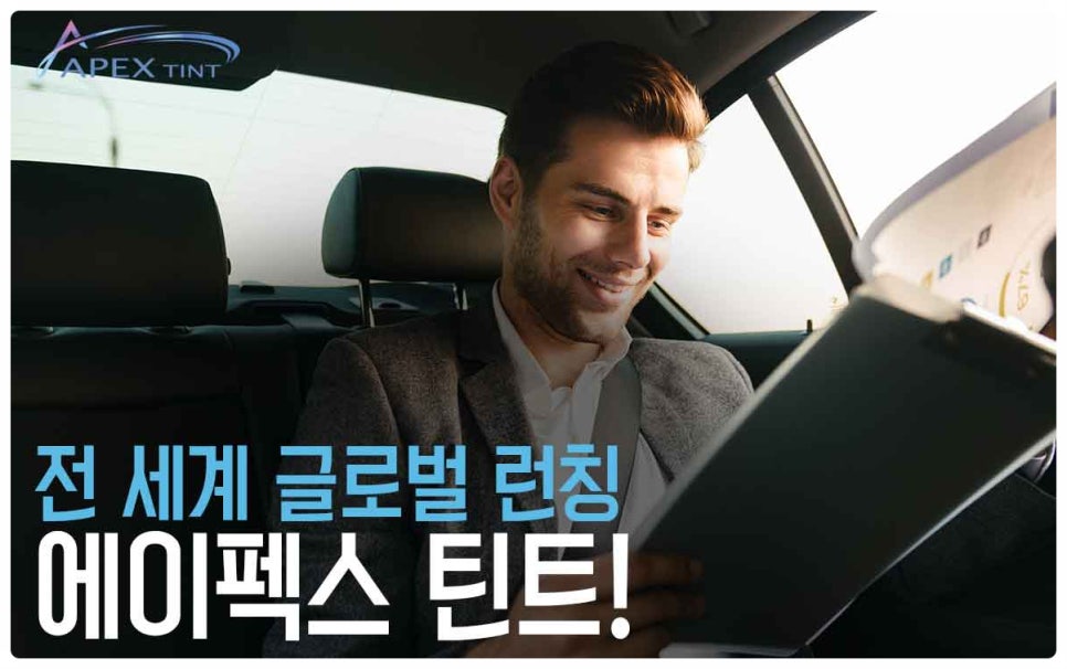 에이펙스글로벌 이미지