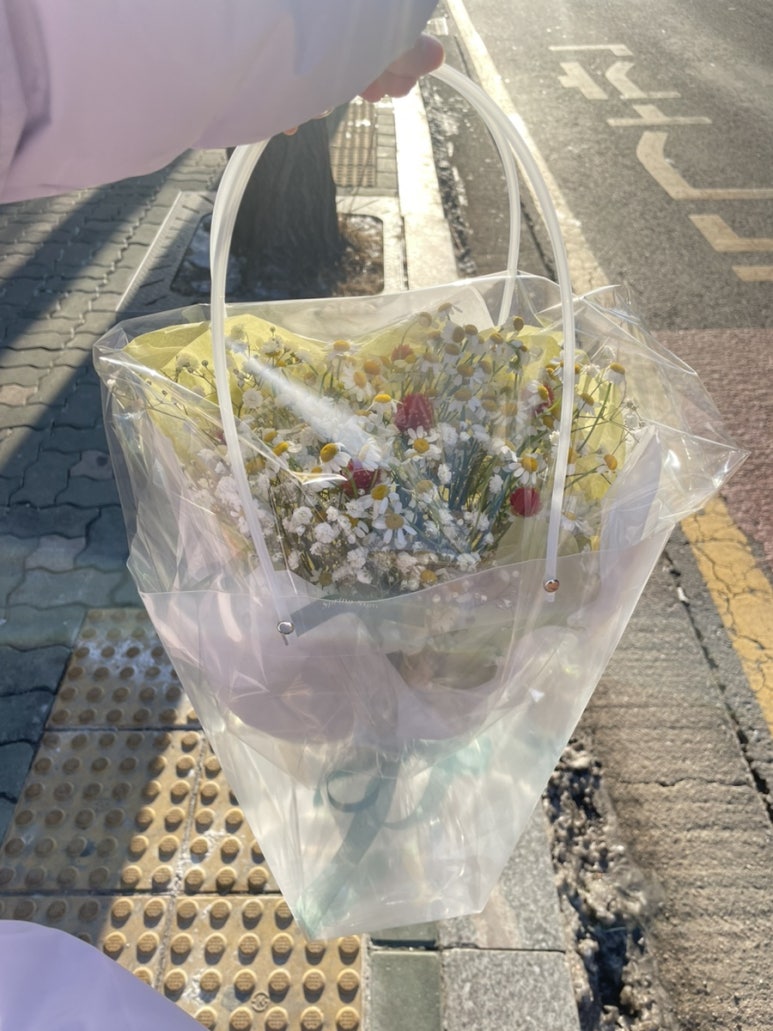 스프링싸인 이미지