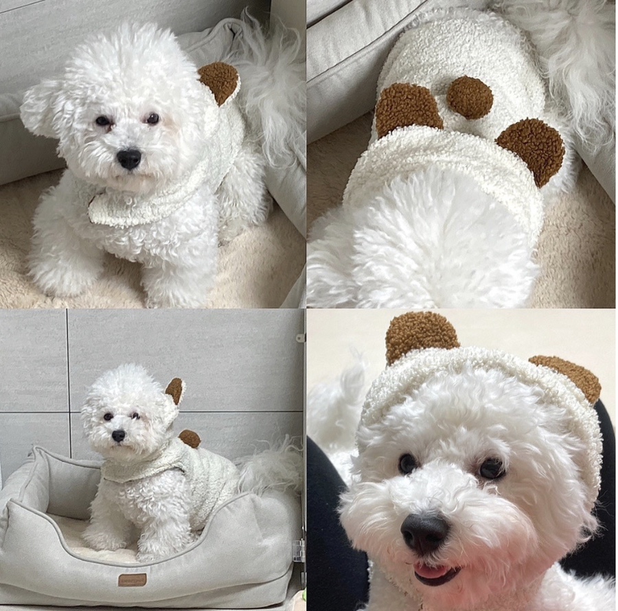 냥츠 이미지