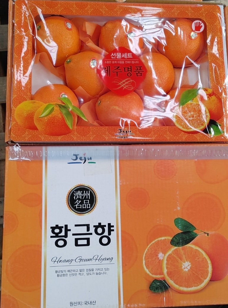 대풍상회 이미지