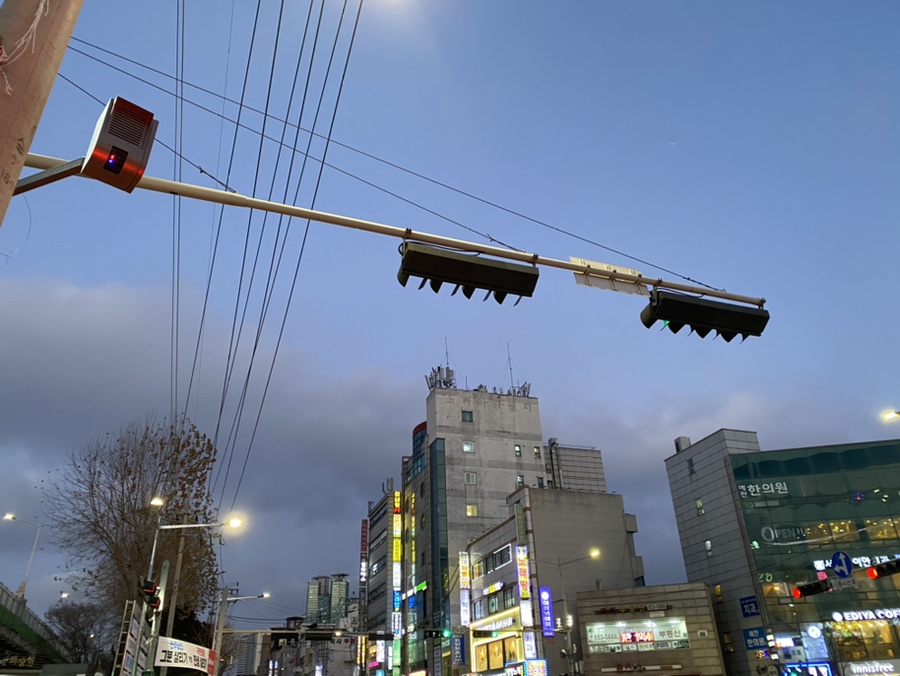 생활의달인장호덕손만두 이미지