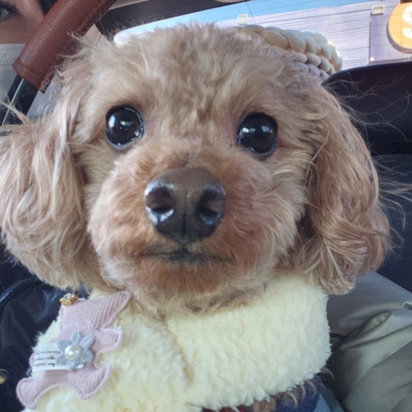 어울림용품점 이미지