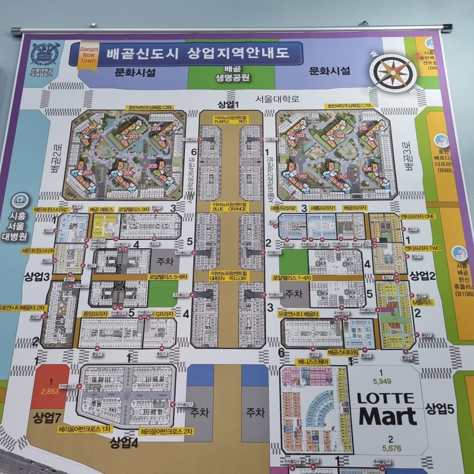 베니스의류 이미지