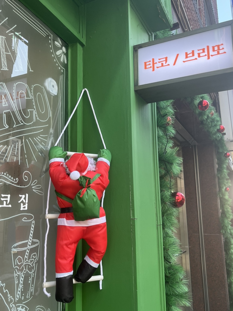 능동타코집 이미지
