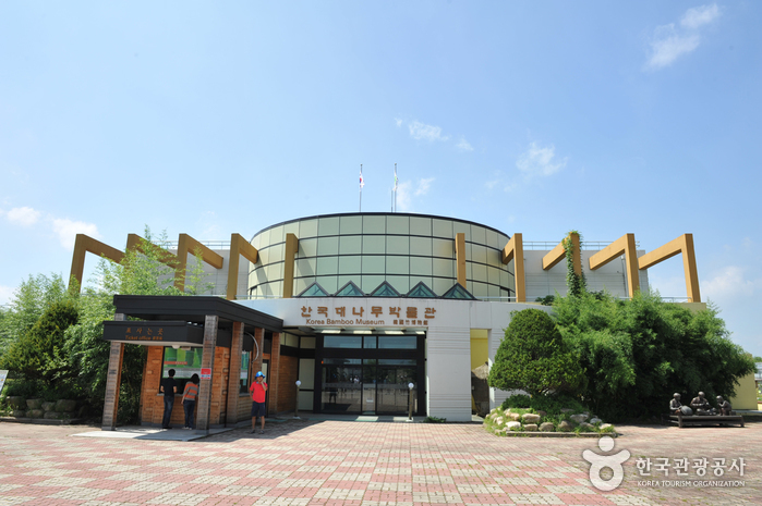 한국대나무 이미지