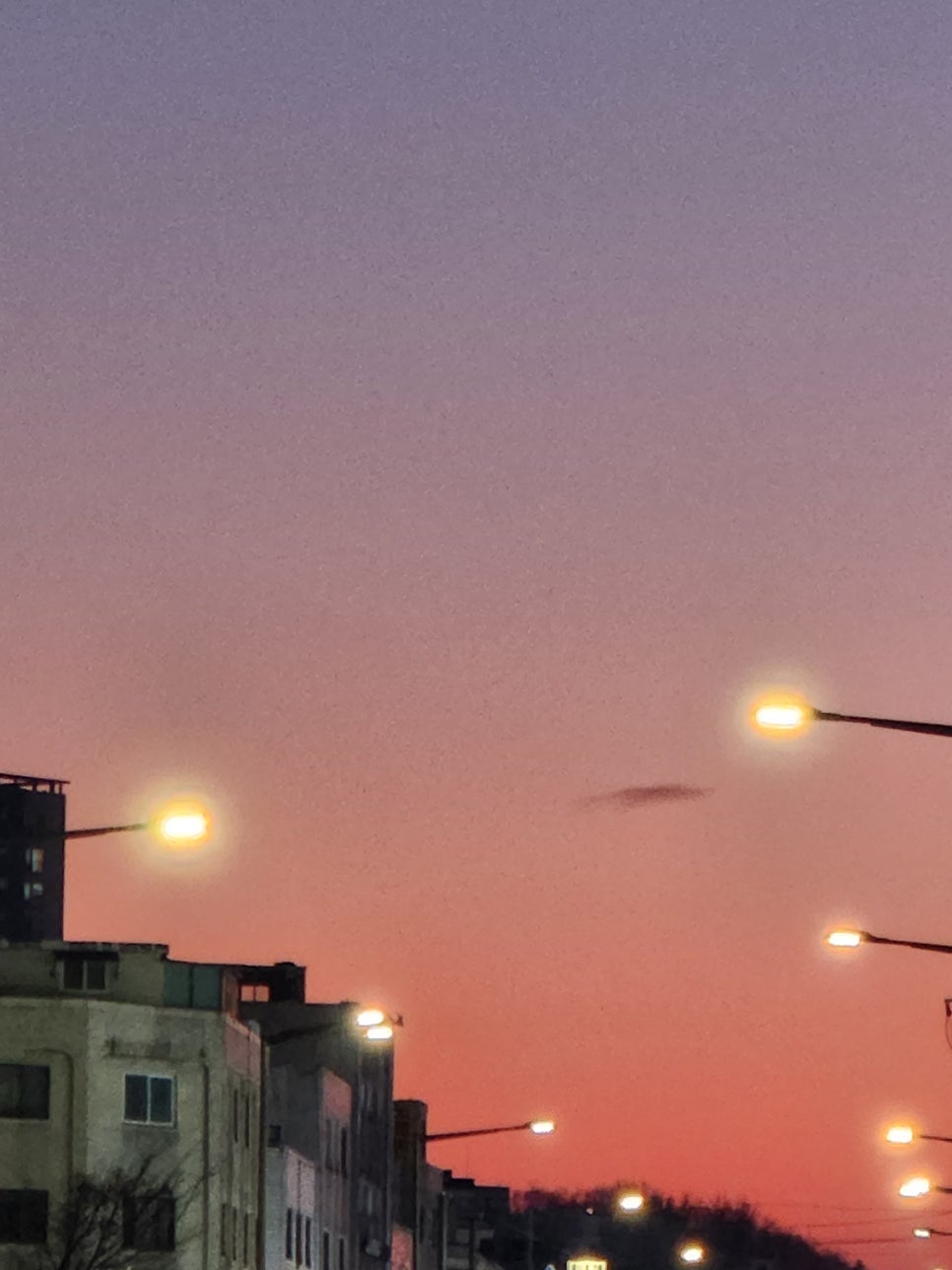 에슬로우도산대로점 이미지
