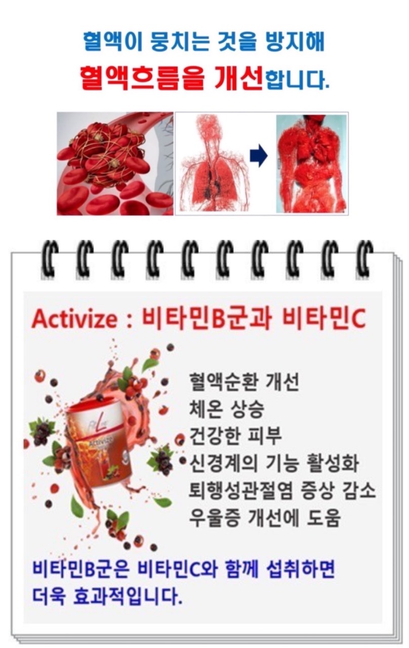 바이즈 이미지