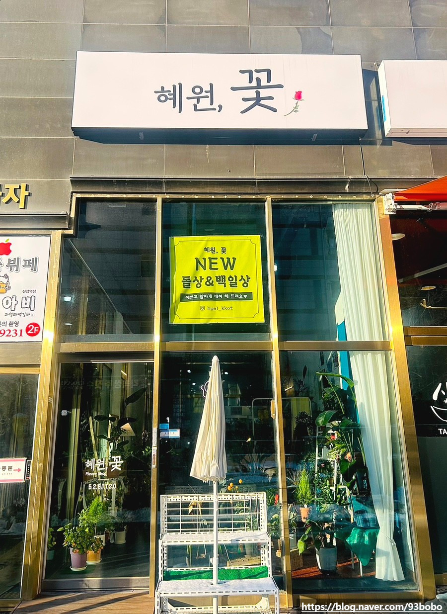 혜원;꽃진접꽃집 이미지
