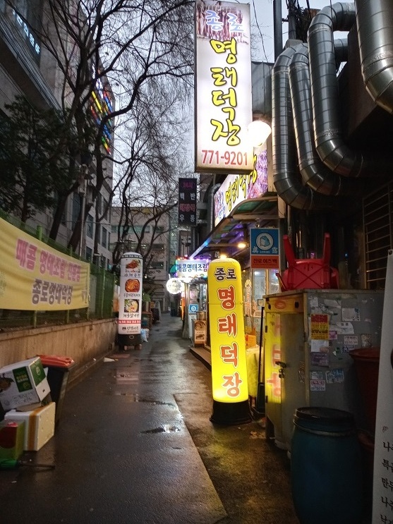 종로명태덕장 이미지