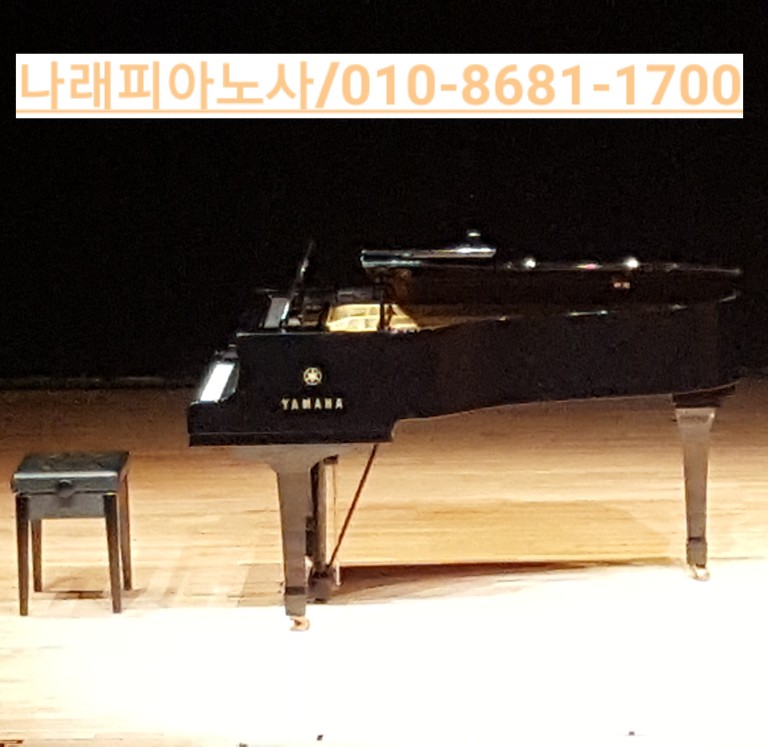 홍피아노 이미지
