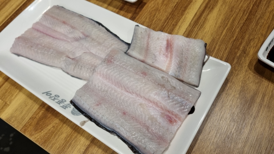 비장한장어 이미지