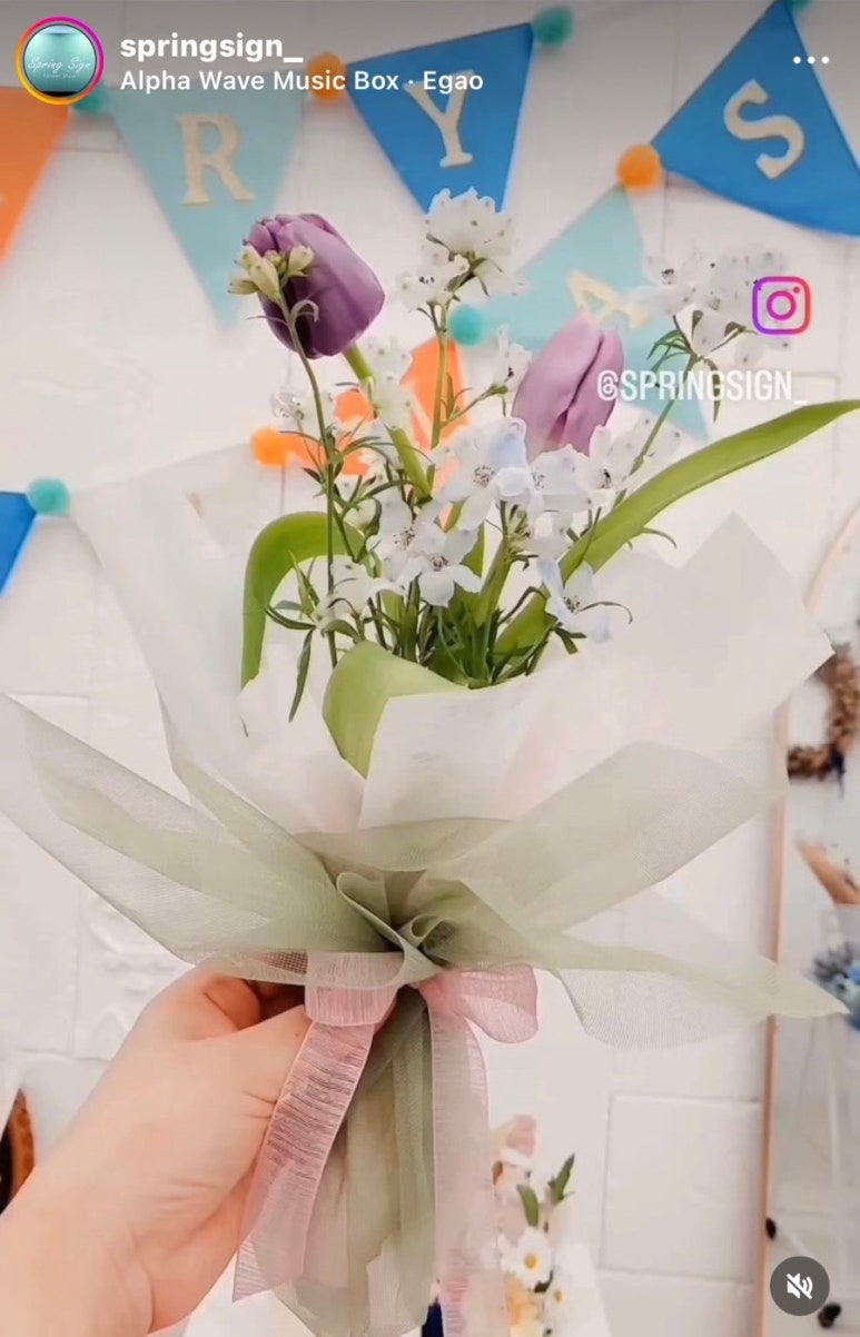스프링싸인 이미지