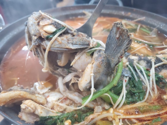 오징어와세꼬시 이미지