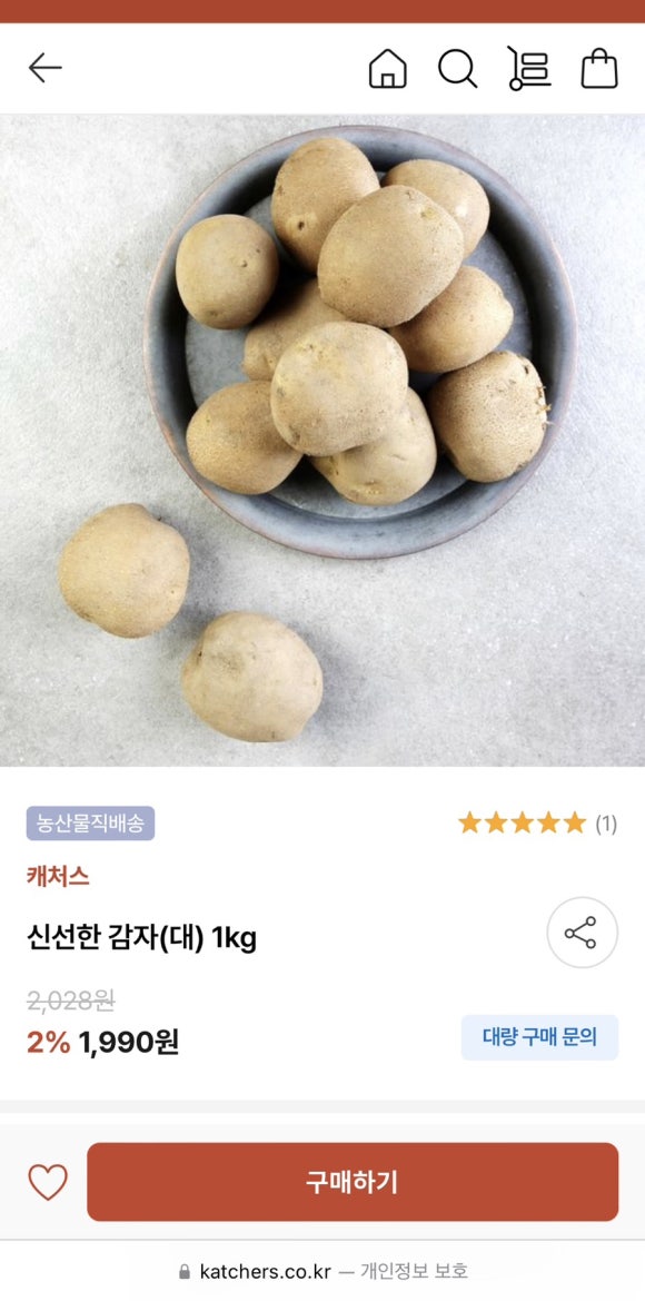 캐처스 이미지