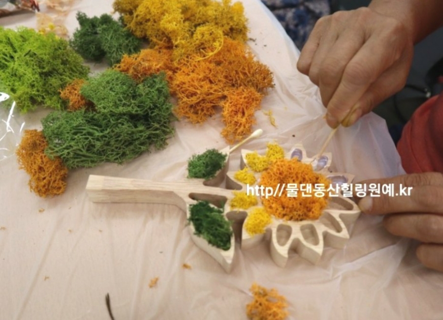 디아모스 이미지