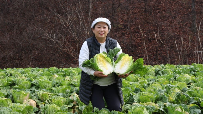 참맛농부 이미지