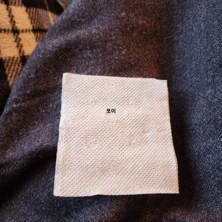 어게인1971 이미지