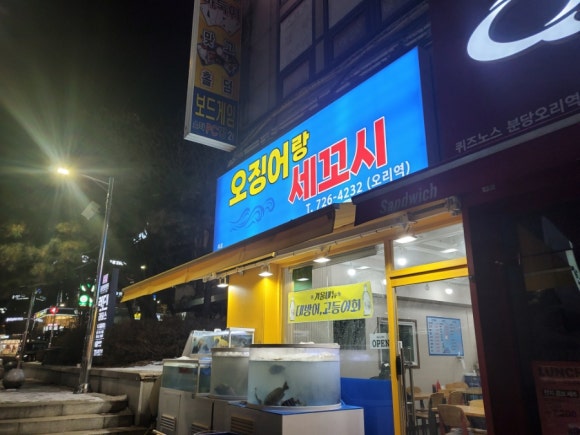 오징어와세꼬시 이미지