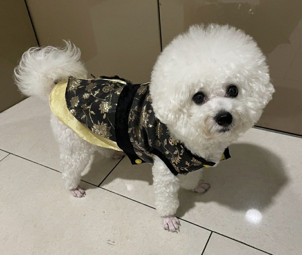 헤어바이호시 이미지