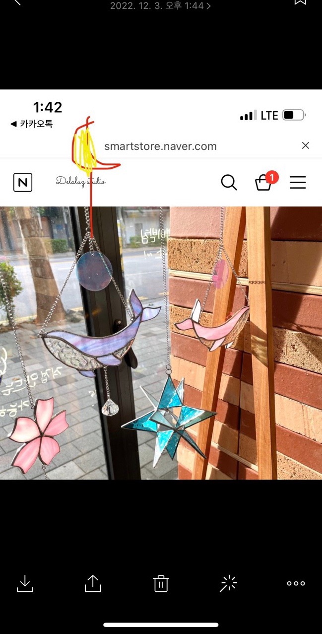 델라루스 이미지