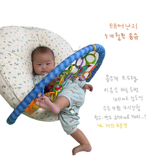 송레코드 이미지
