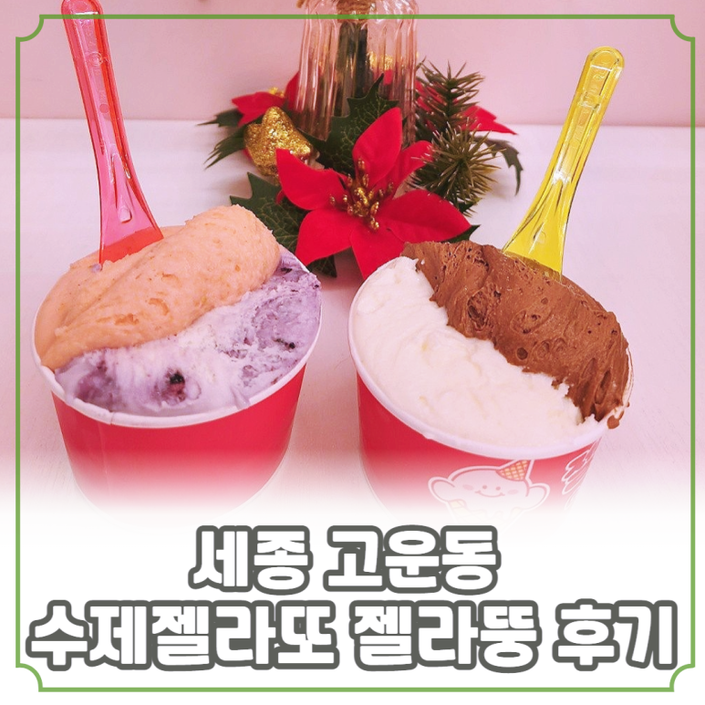 젤라정 이미지