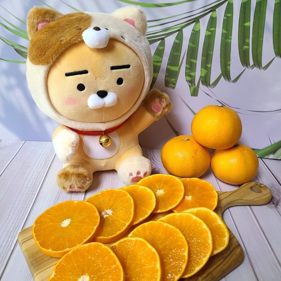 맛있는형제들 이미지