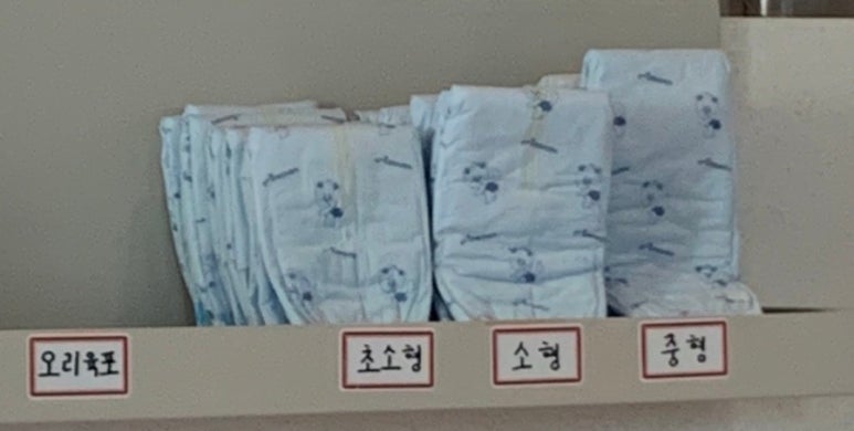 와샌 이미지