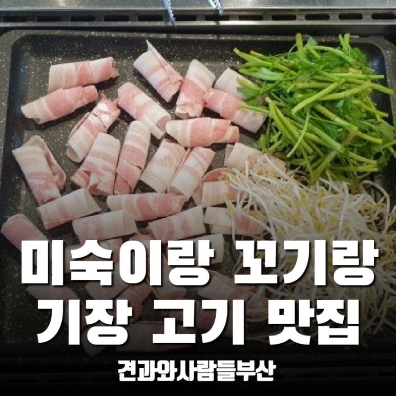미숙이랑꼬기랑 이미지