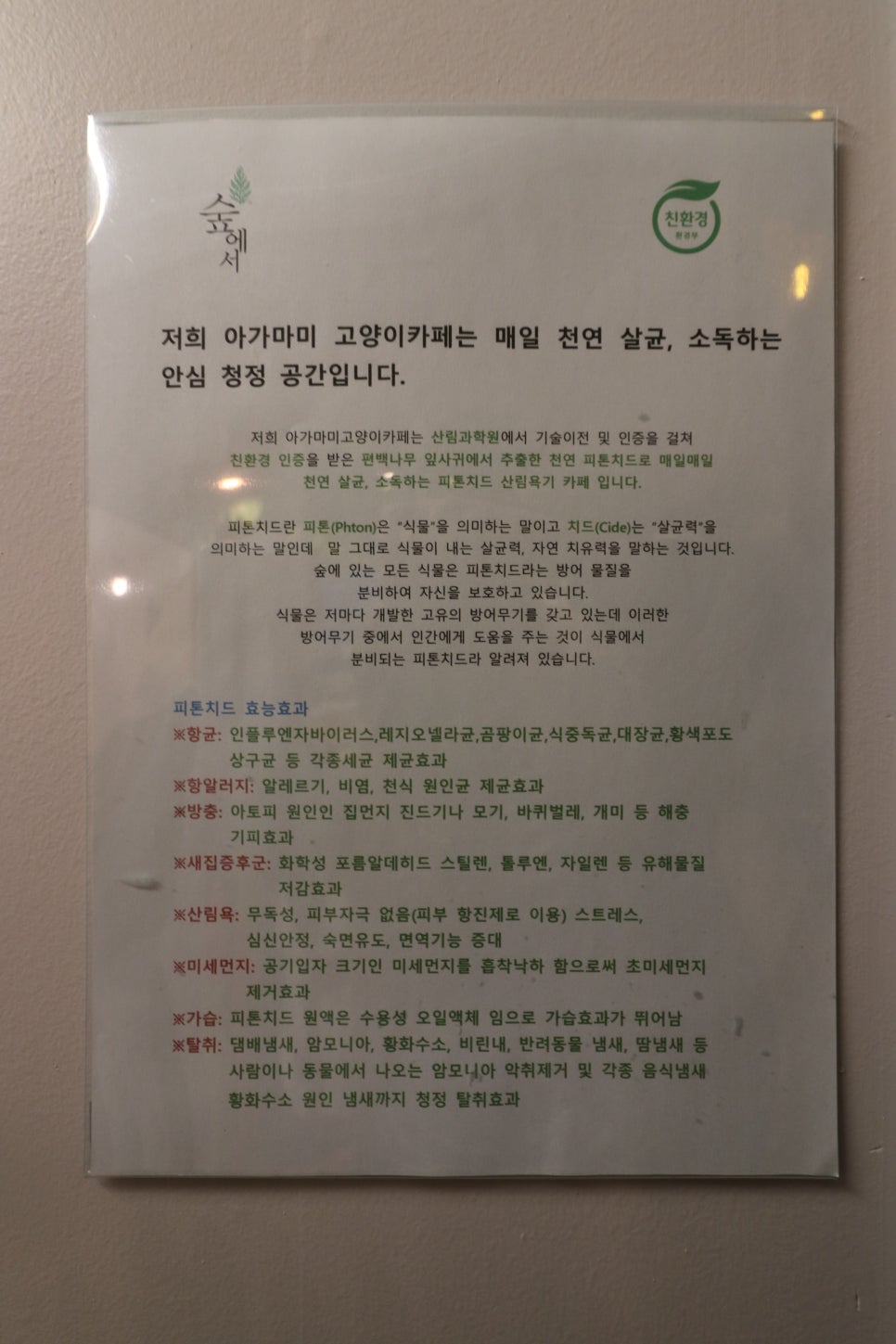 아가마미고양이카페 이미지