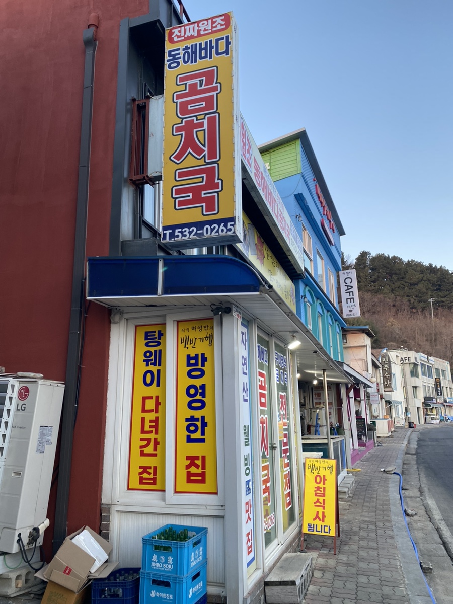동해곰치 이미지