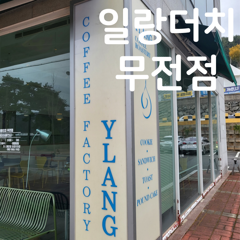 일랑더치 이미지