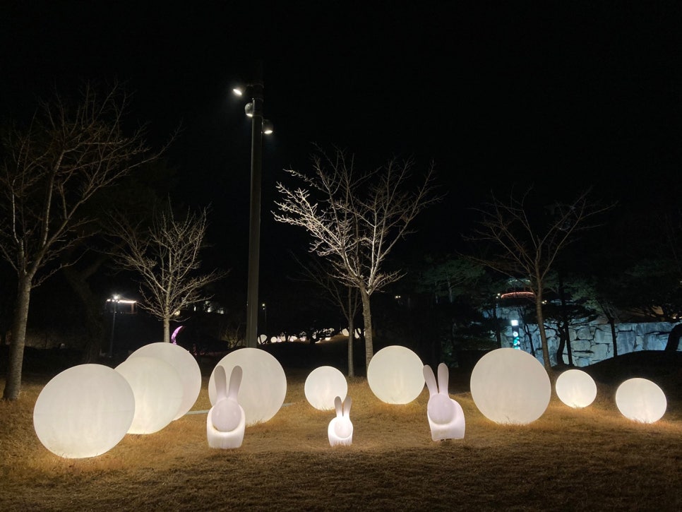 달빛거리 이미지
