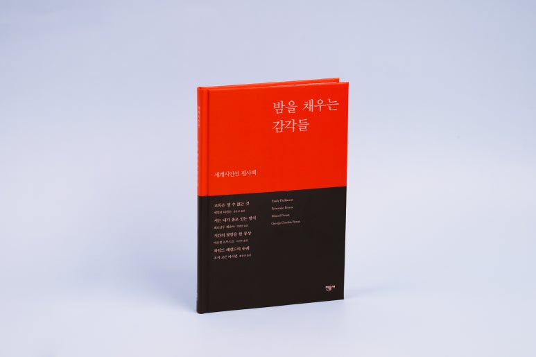밤의감각 이미지