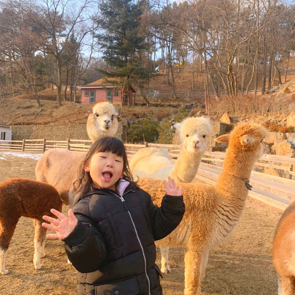 힐링월드 이미지