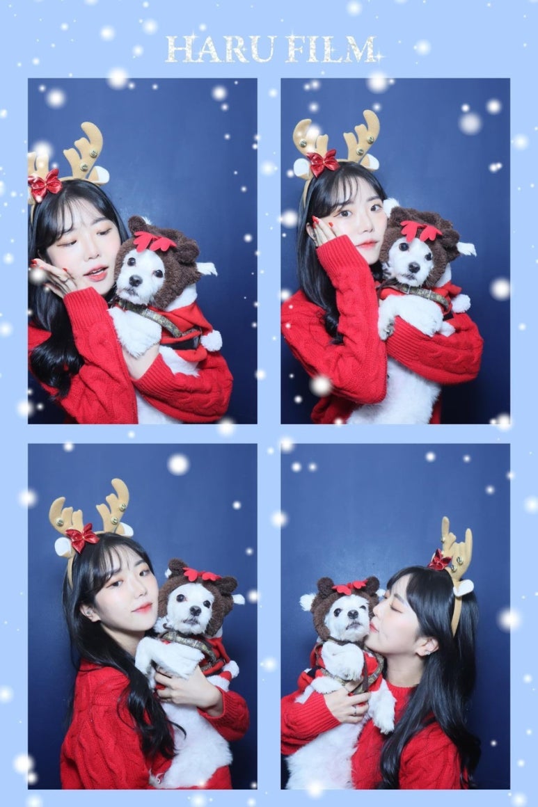 댕스하루 이미지