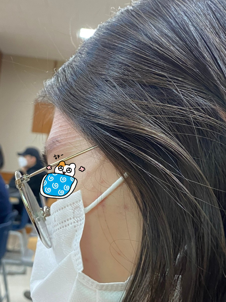 진션 이미지