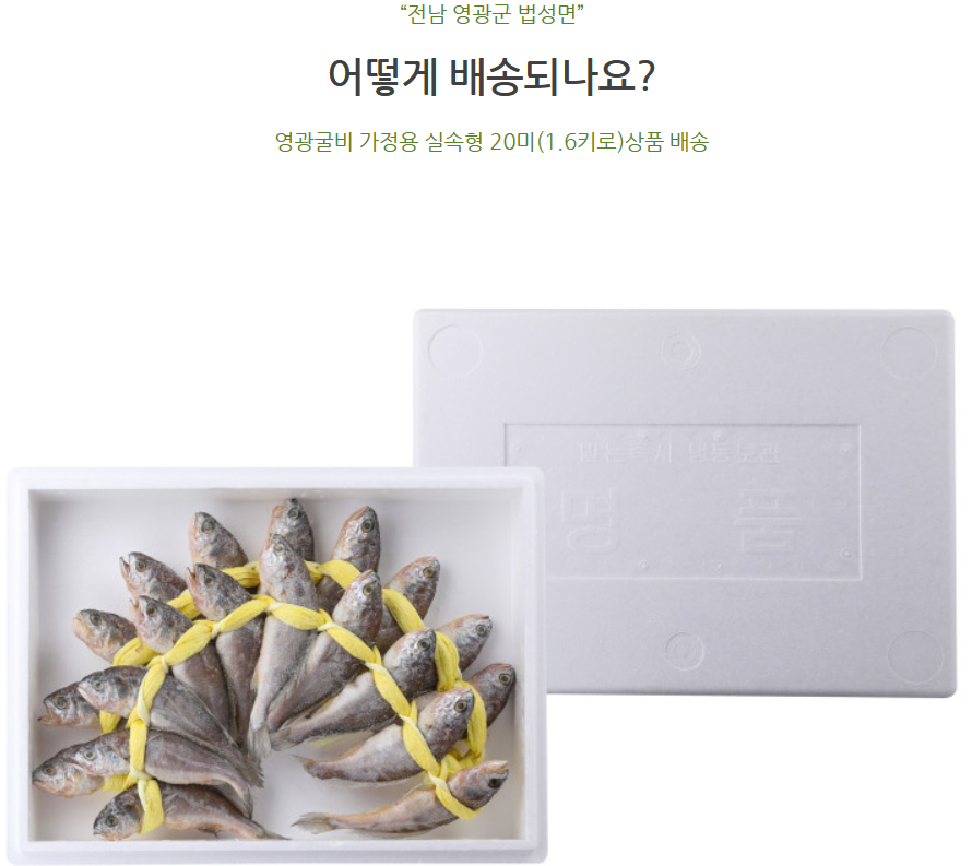 영광냉동수산 이미지
