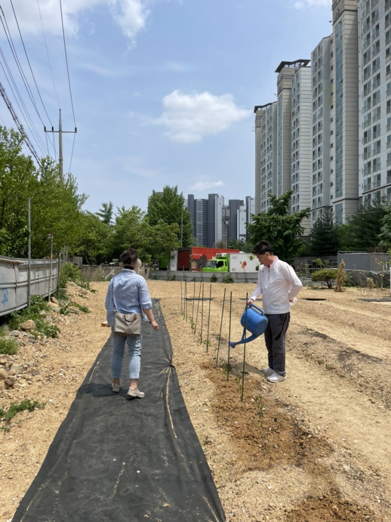 갸또드포레 이미지