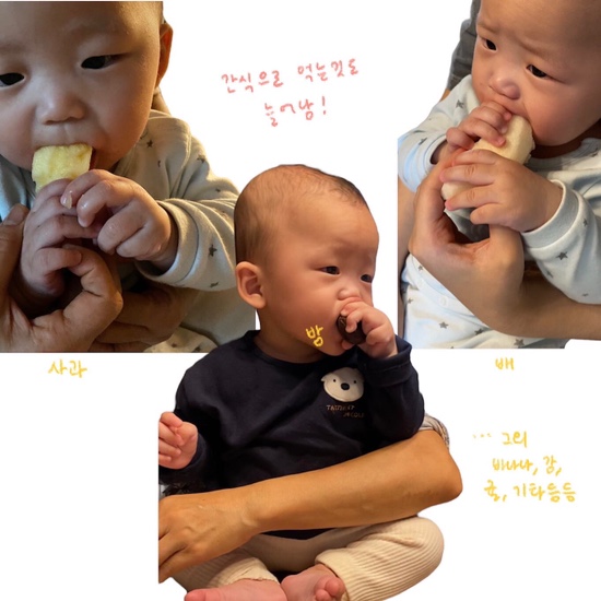 송레코드 이미지